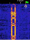 Un signal BPSK31 'propre'